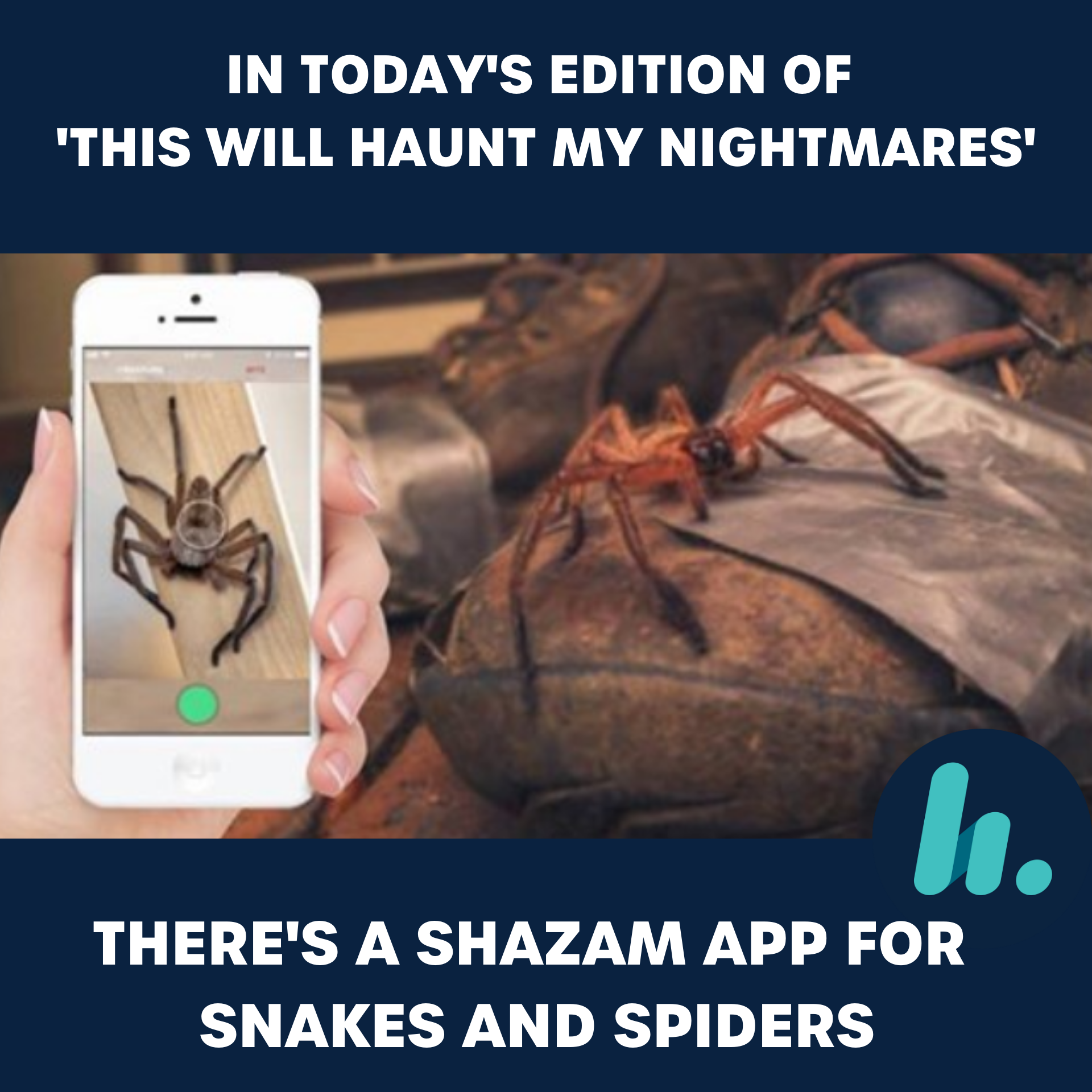 In today's edition of 'this will haunt your dreams,' there's a new shazam app for snakes and spiders
