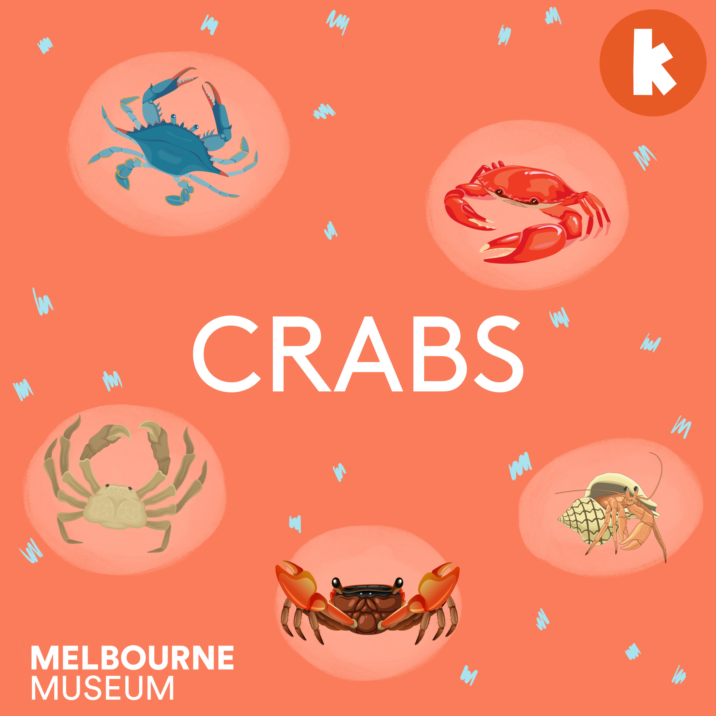 Crabs