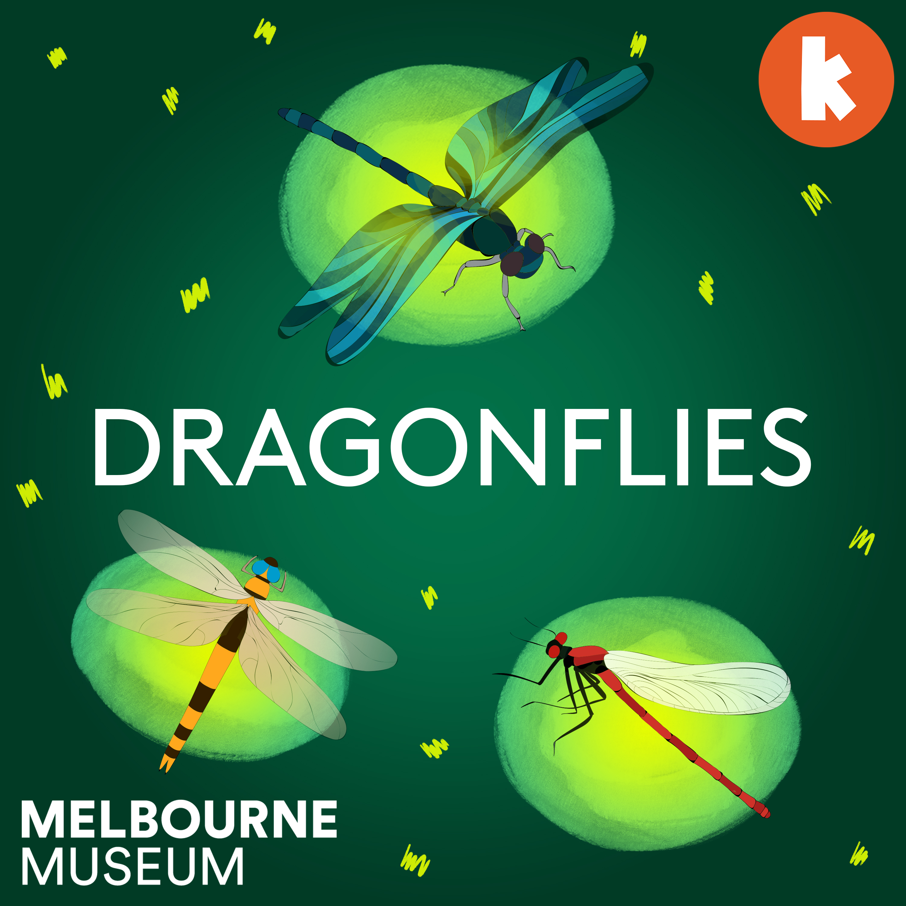 Dragonflies