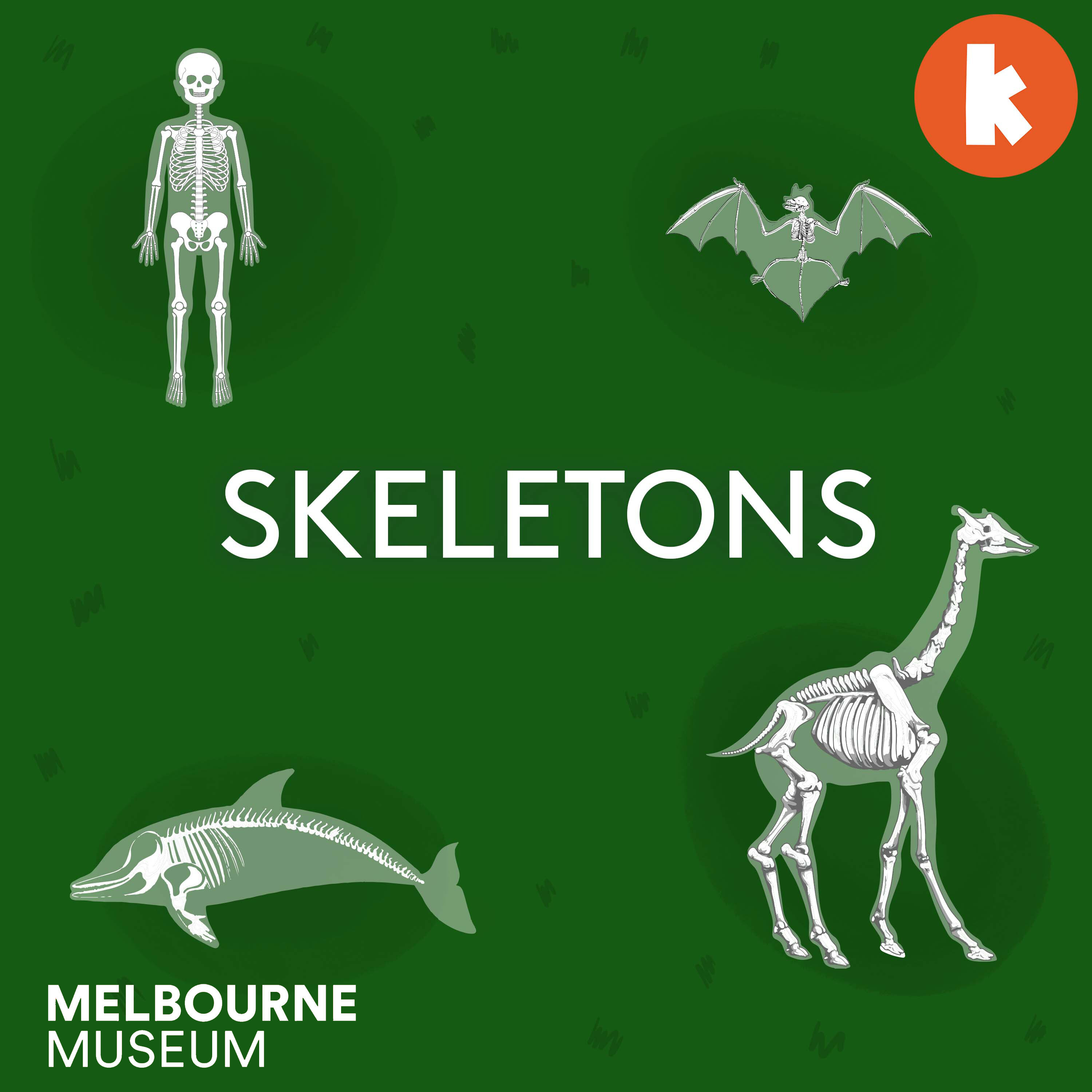 Skeletons