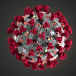 Australia's coronavirus death toll rises to nine