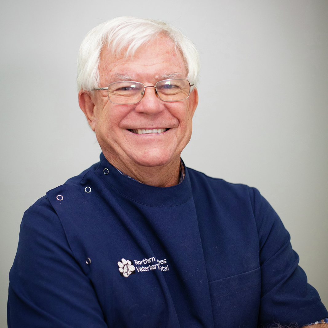 Dr Dave Lemmon From Nth Beaches Vet Hospital Is Retiring