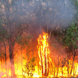Andrew Houley From Mackay RFS On The Fires Currently Burning In Mackay & The Whitsundays
