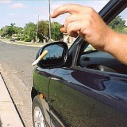 Would you report someone who flicked rubbish or a cigarette butt out of the car window