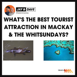 How Did Cairns Win Wotif's Town Of The Year?  What's Mackay & The Whitsunday's Best Tourist Attractions?
