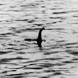 WTF WEDNESDAY: Steve Has Dedicated Over 3 Decades Of His life To Finding The Loch Ness Monster