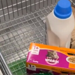 This Supermarket Trolley Hack From TikTok Will Change Your Life