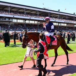 Top Tips For The Melbourne Cup - Andrew Fahey
