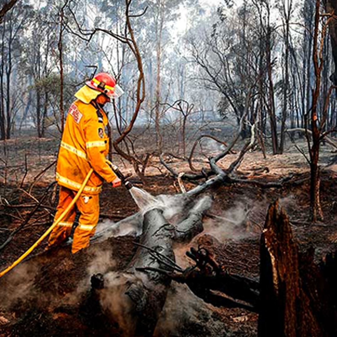 BOM Warns Us Of More Fire Danger Later This Week