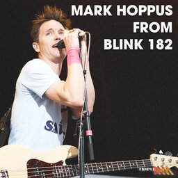 Mark Hoppus reveals details of the new blink 182 record