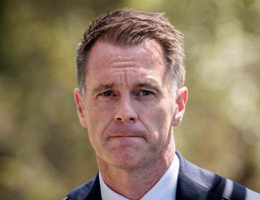 NSW Premier vows action after alleged family murder horror episode artwork