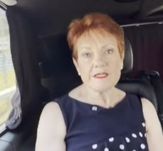 Pauline Hanson responds to Angus Taylor's criticism of One Nation policies episode artwork
