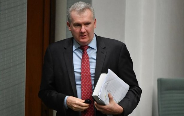 Labor denies party is split on migration reform