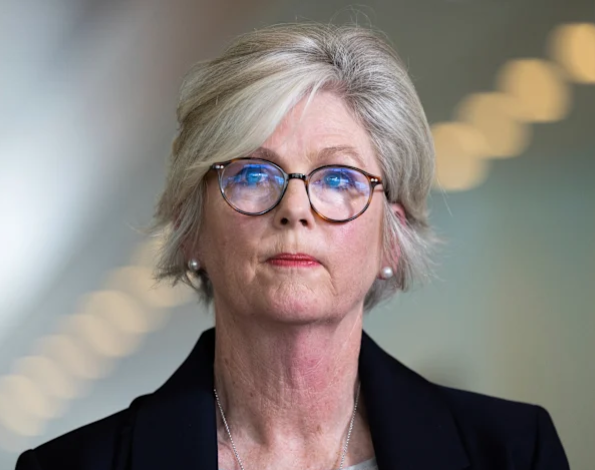 Federal MP in critical condition after alleged attack episode artwork