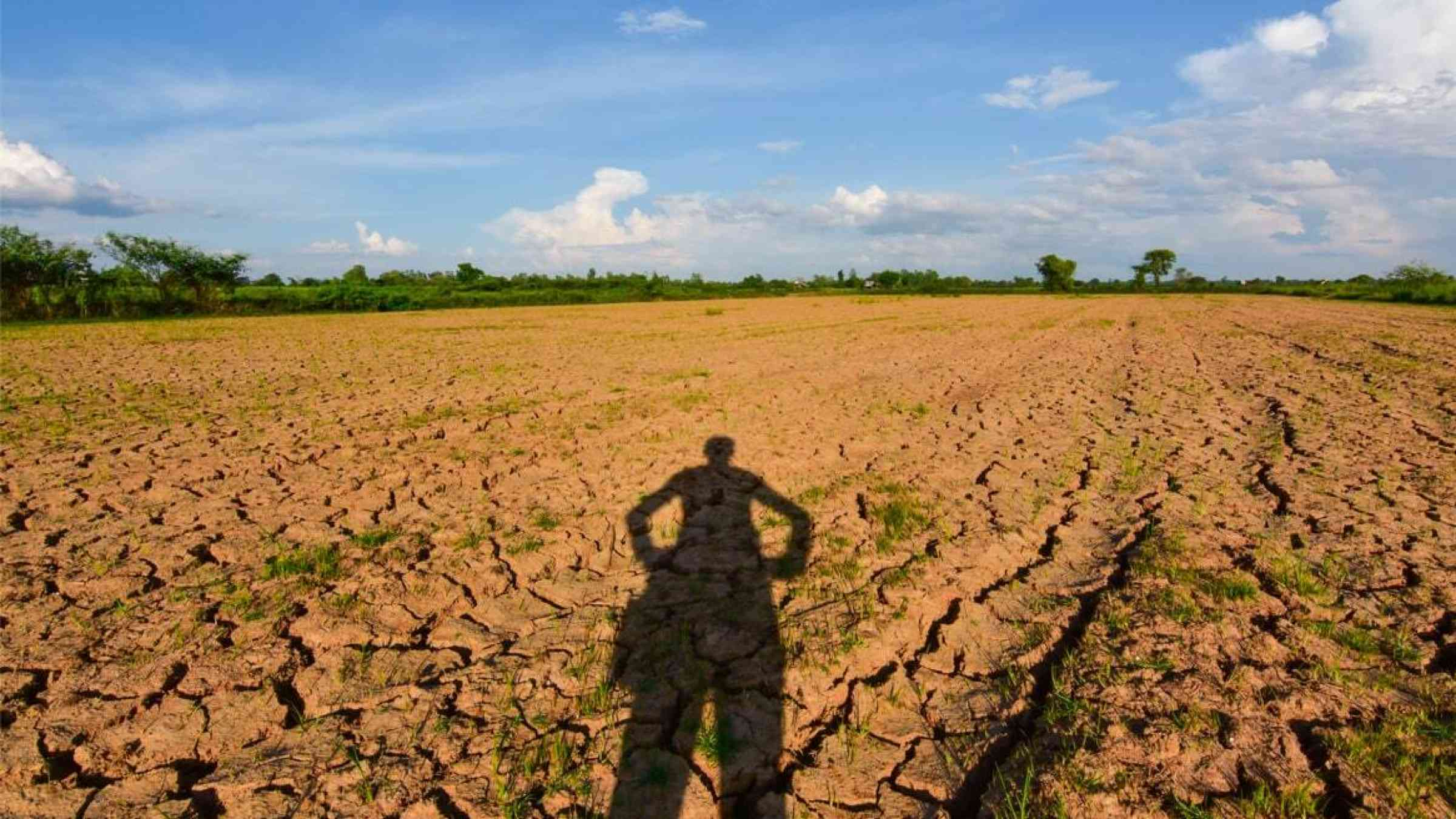 UN warns of strongest El Niño on record episode artwork