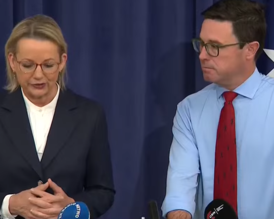 New shadow ministry revealed hours after Coalition reunion