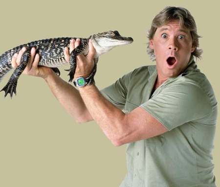Today marks 20 years since Australia lost Steve Irwin episode artwork