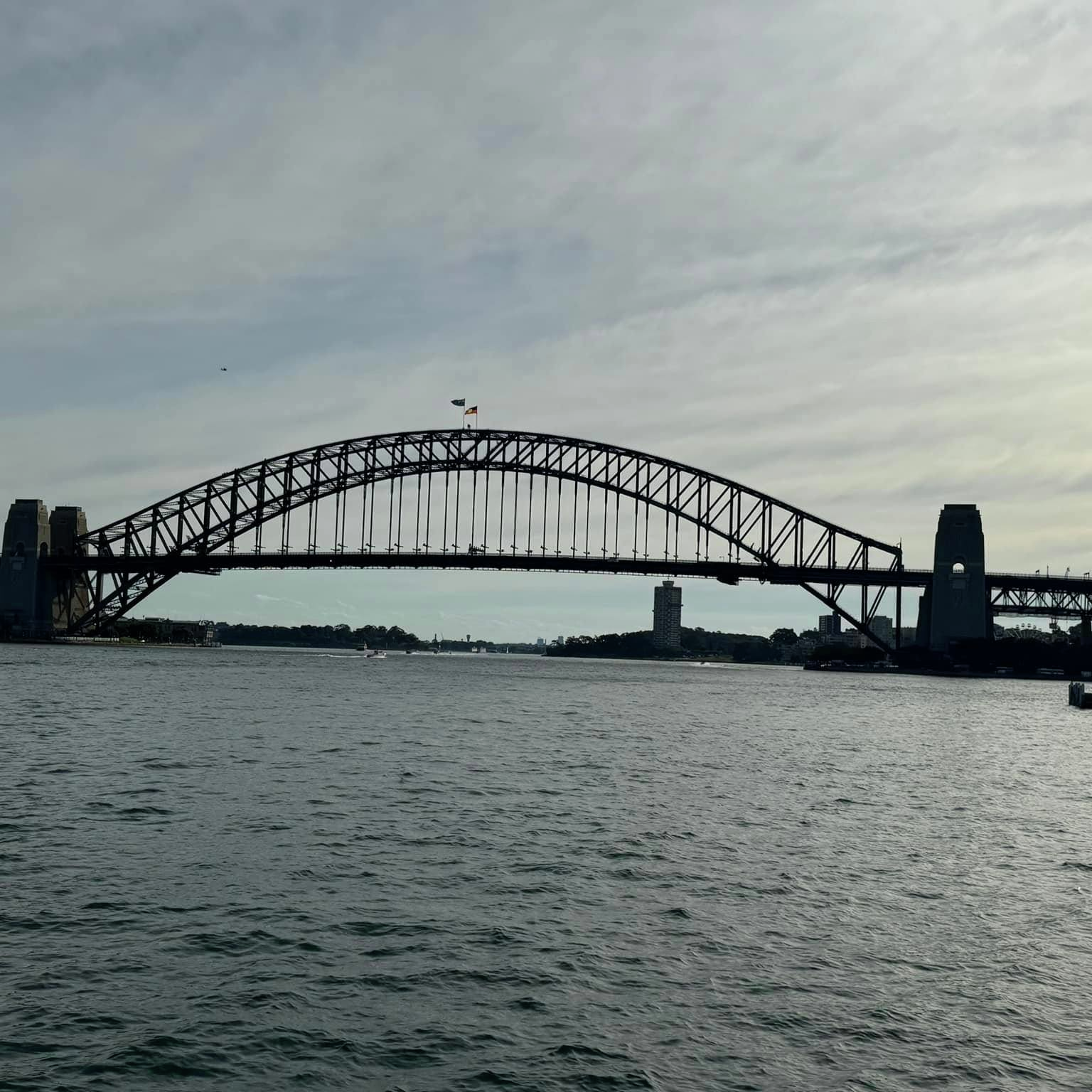 Supreme court makes massive call on Harbour Bridge protest