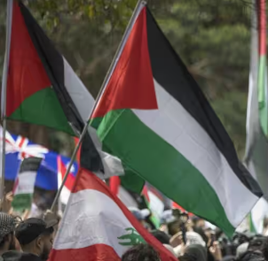 Supreme Court judgement on Harbour Bridge pro-Palestine protest to be handed down