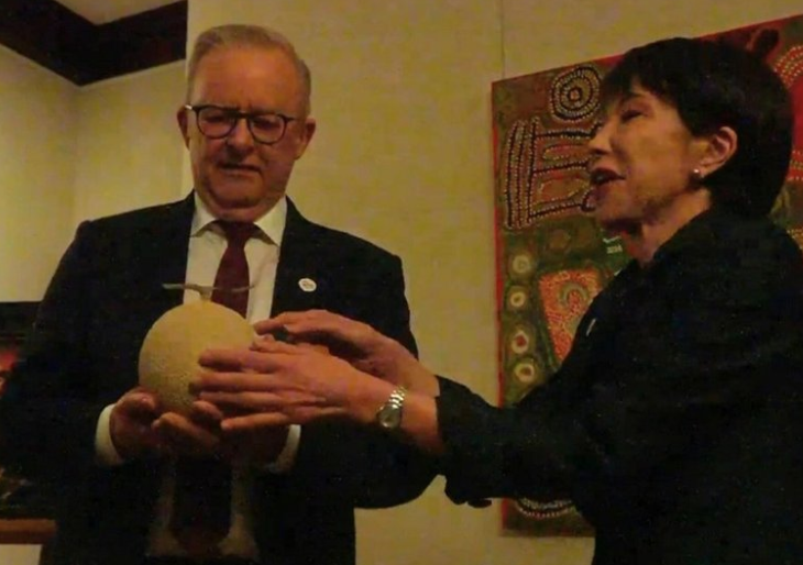 Government rejects criticism over Albo’s melon gesture episode artwork
