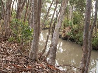 Tragedy in Melbourne - Woman and child drown after falling into creek