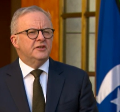 Labor regains primary vote lead over One Nation in latest polling episode artwork