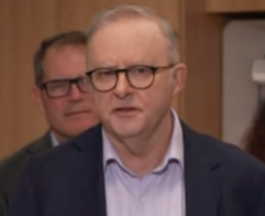 PM blasts Pauline Hanson for 'talking down Australia' episode artwork