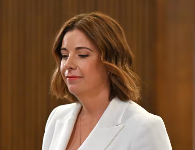 Anika Wells spruiks teen social media ban as travel bill questions grow