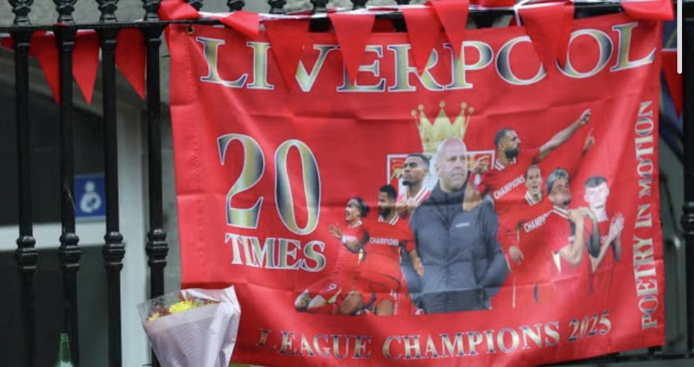 Accused Liverpool Parade driver faces court