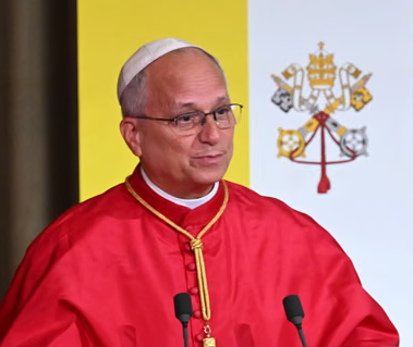Pope Leo warns AI could lead to losing 'humanity amid a paradise of machines' episode artwork