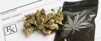 Police seize $2.5 million of cannabis thanks to public tip-off
