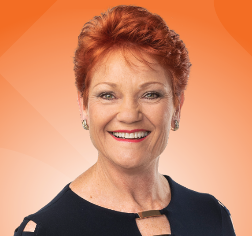 One Nation secures four Senate seats in next parliament 