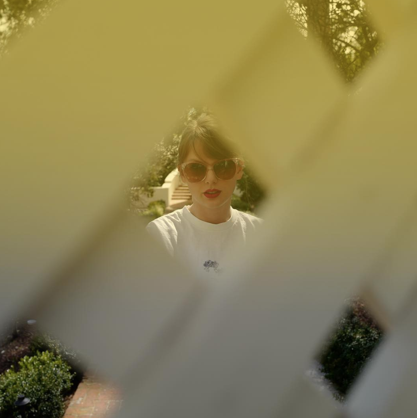 BUT THERE WERE FIVE HOLES IN THE FENCE- Taylor Swift