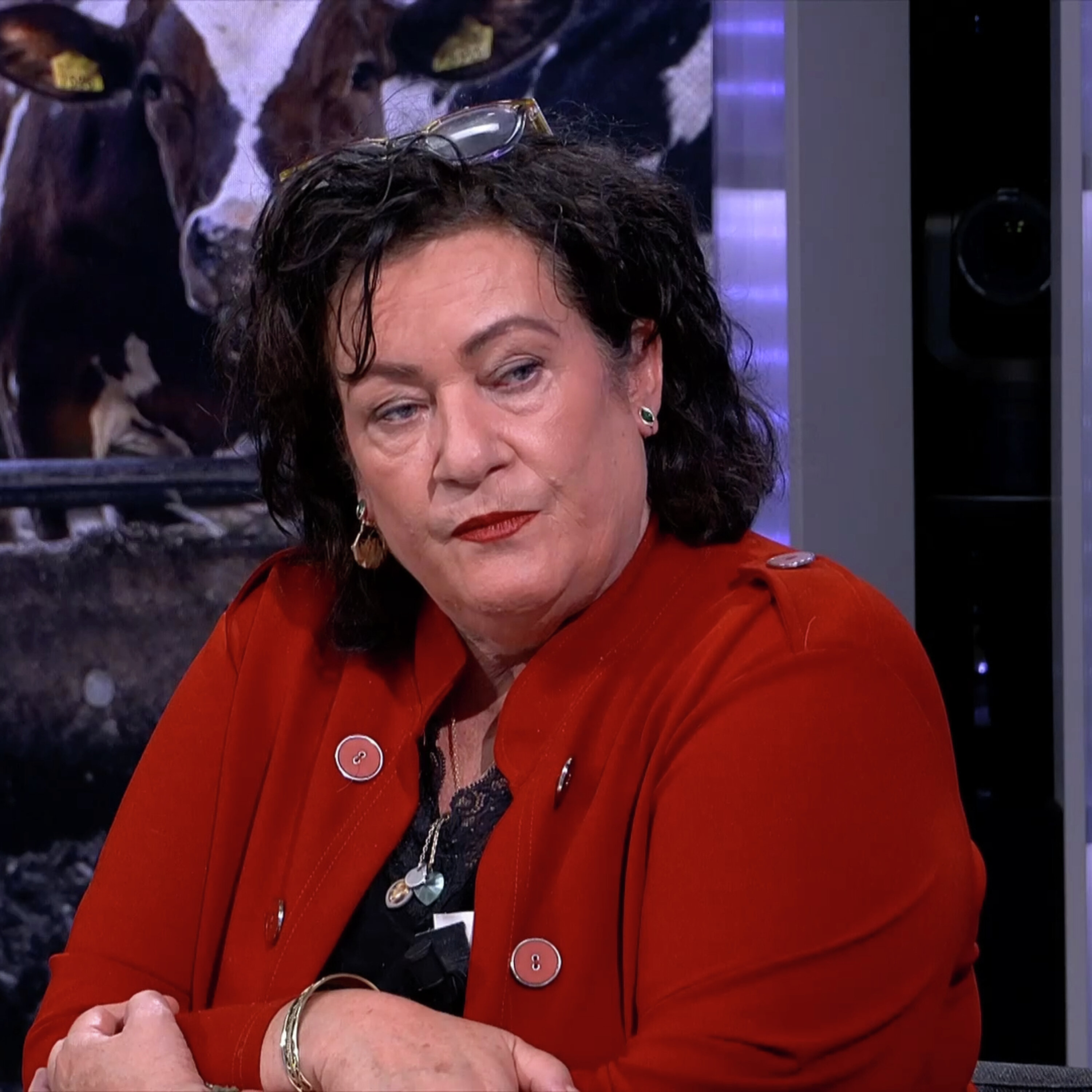 'Ga in protest, kom weer massaal naar het Malieveld'