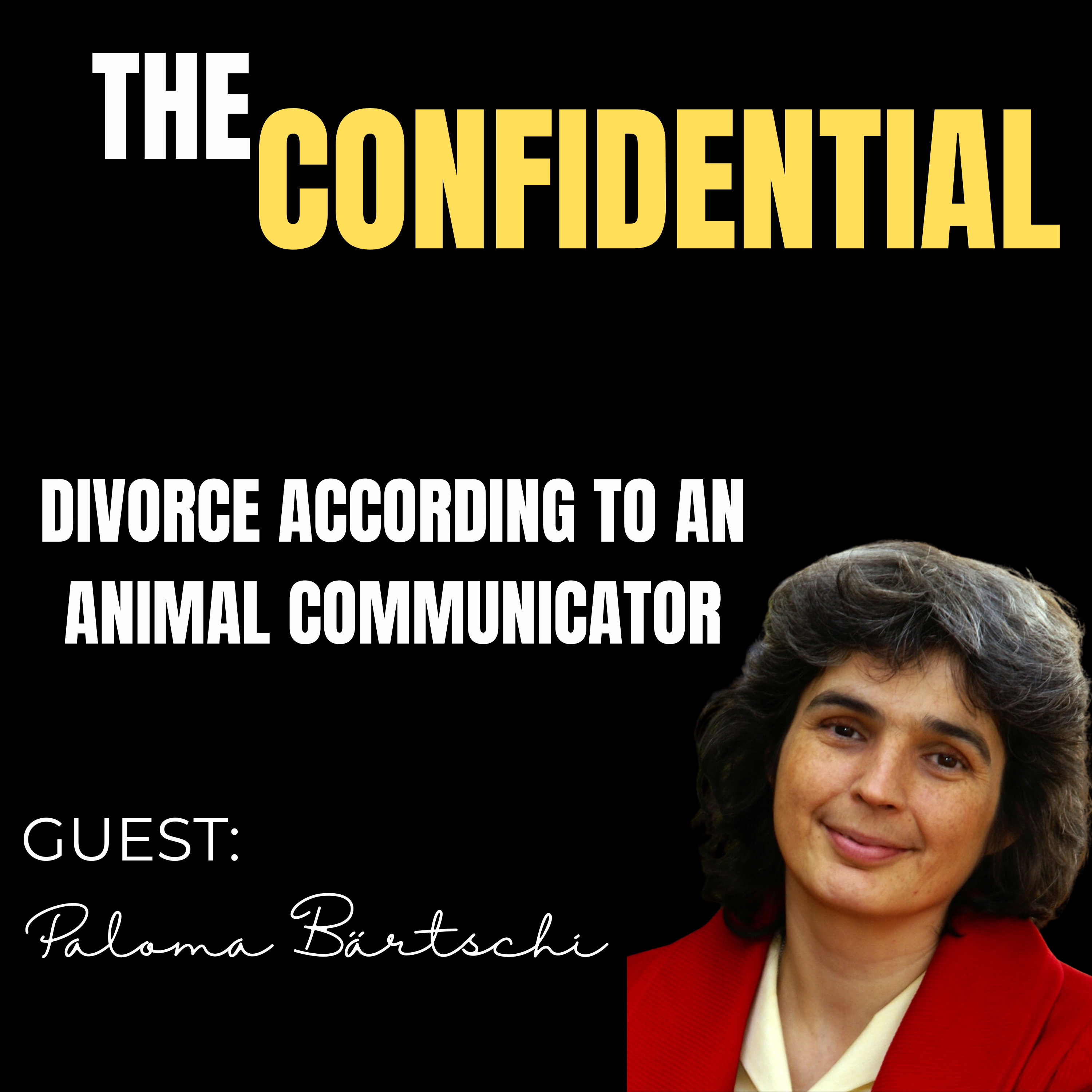 Divorce According to an Animal Communicator