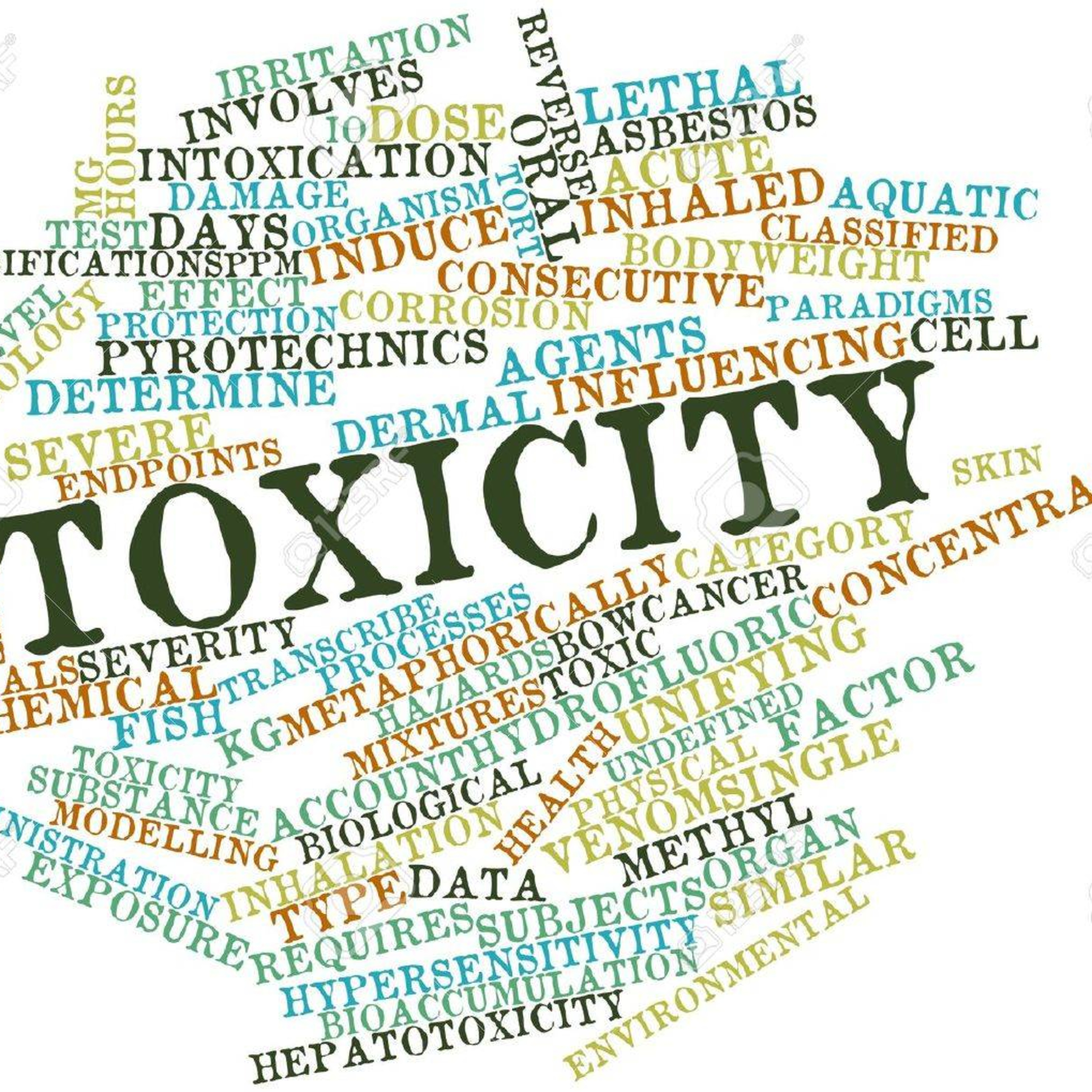 Toxicity - What it is; What it does to the body; What to do about it