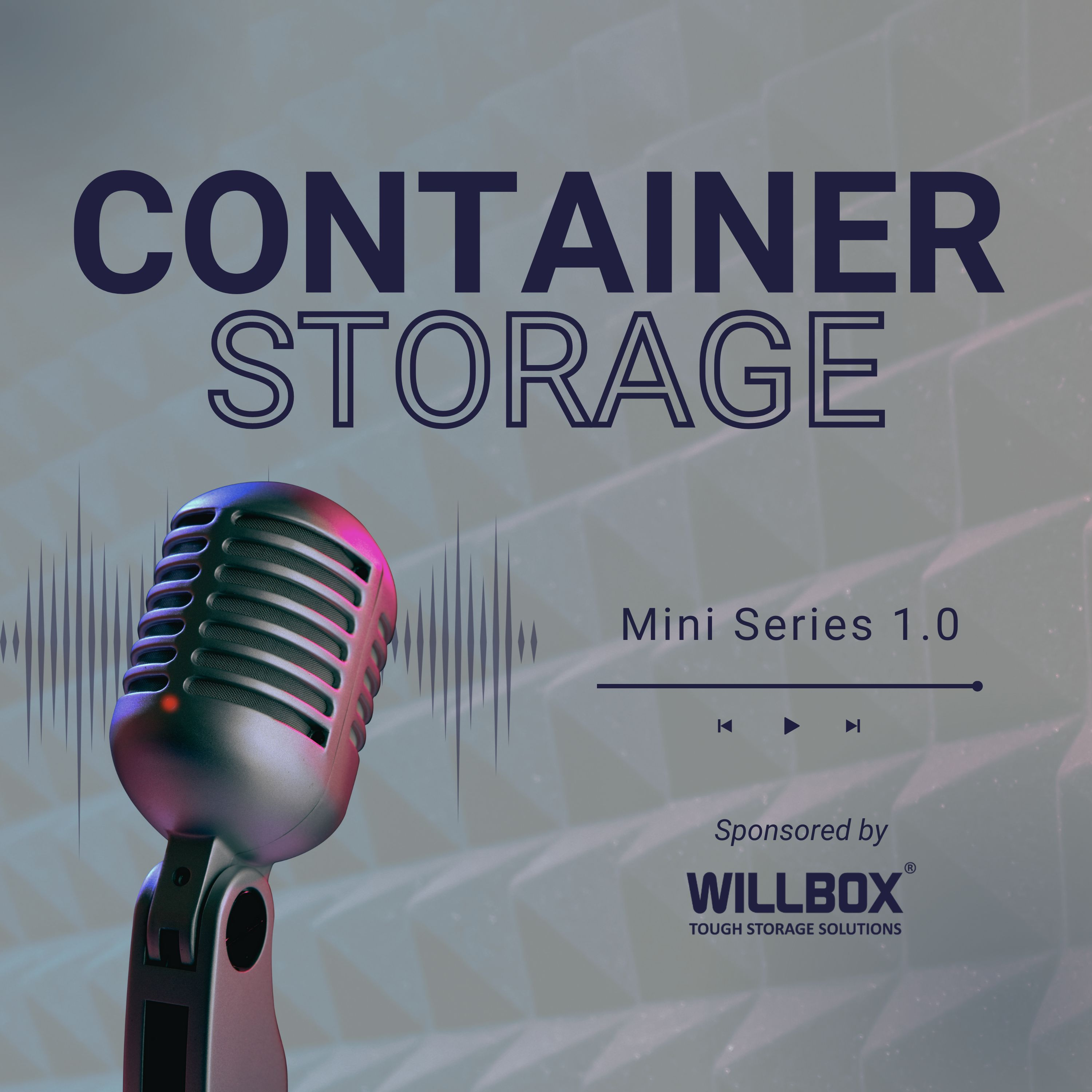 Container Storage is A Great Additional Income Stream | Container 1.1