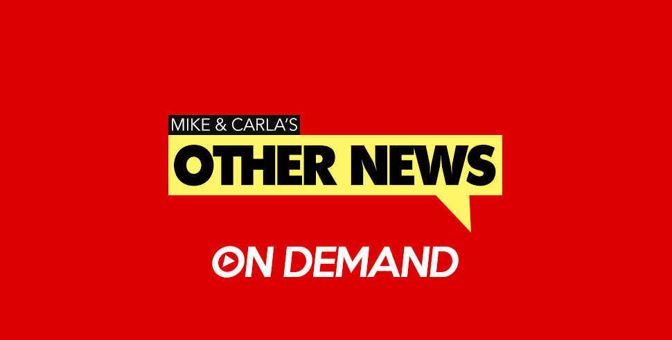 Fake "Zoo" News Out of Cairo & More!