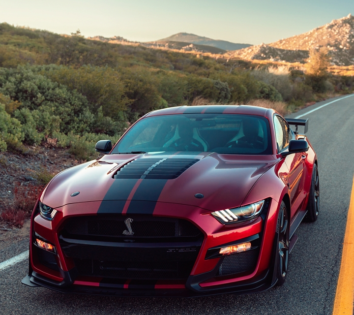 Everything from Shelby to the Mystery Mustang