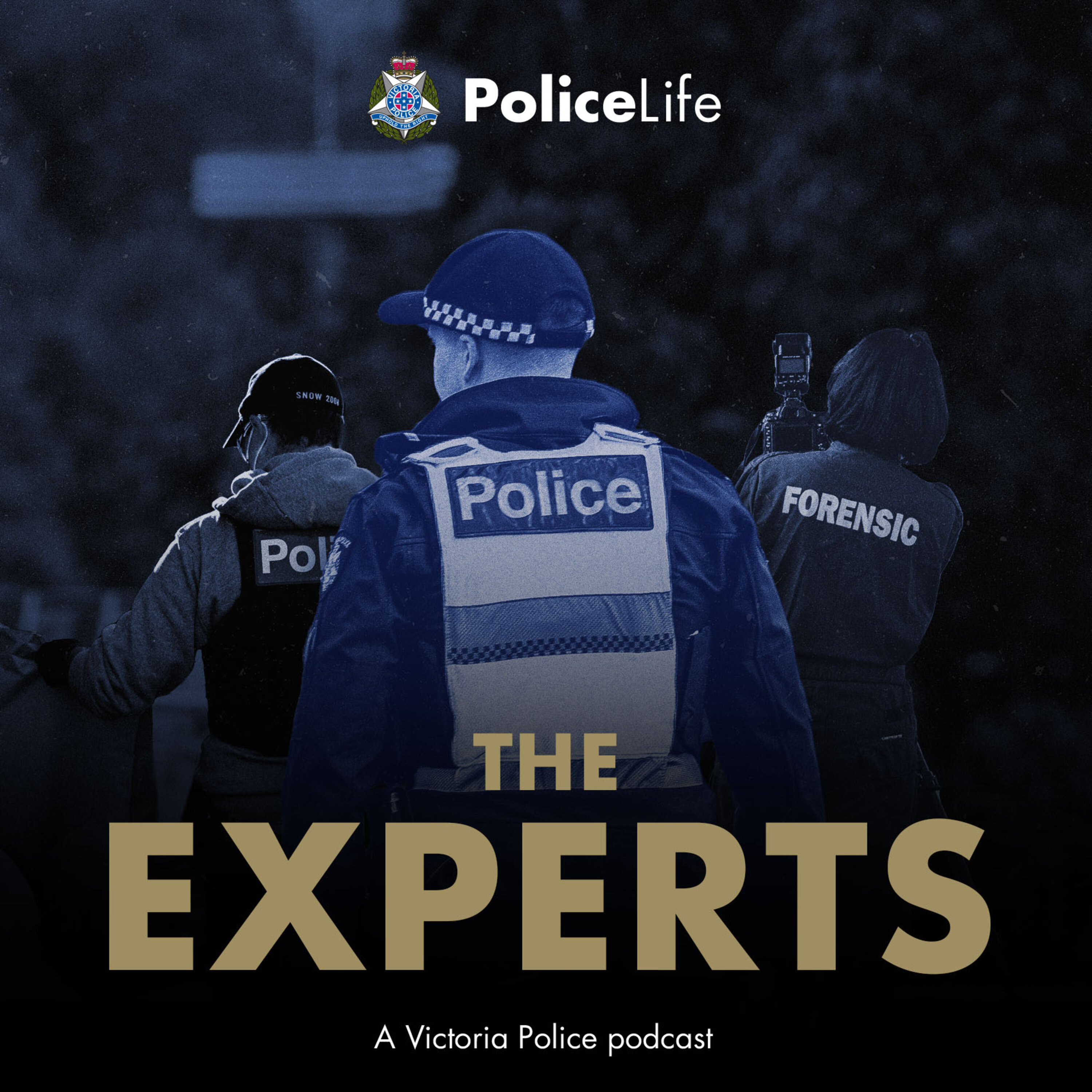 Police Life: The Experts season one trailer episode artwork