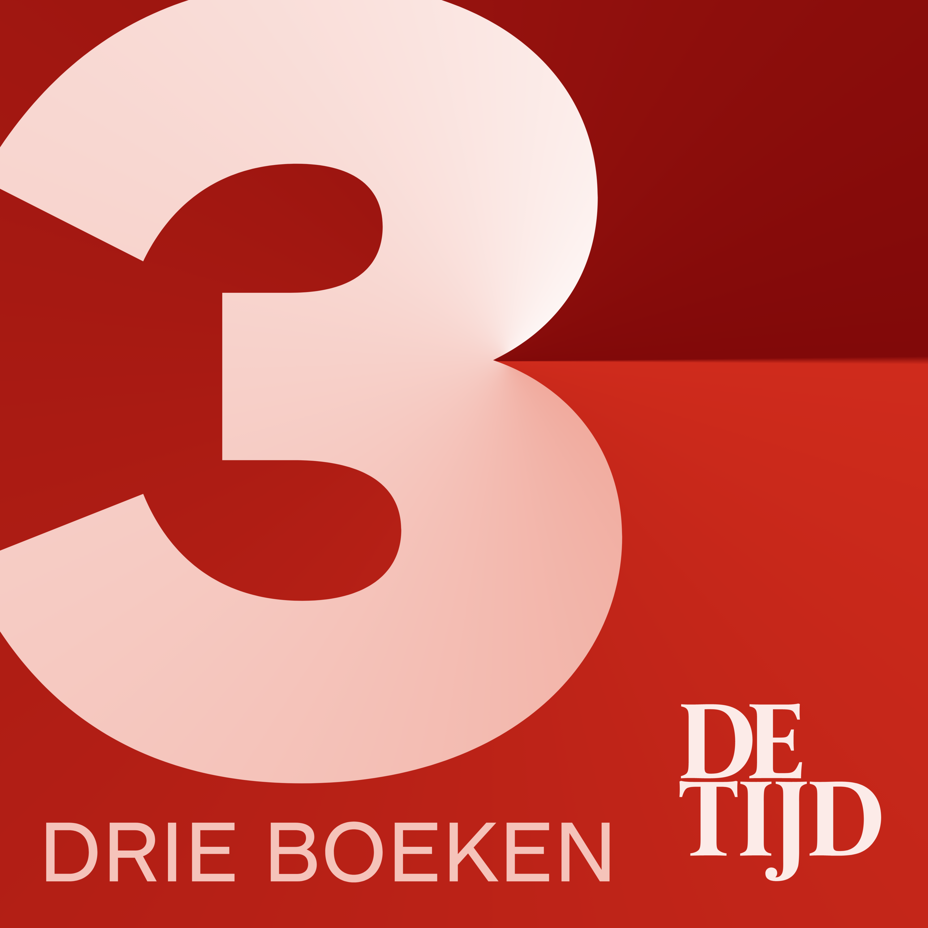 De Drie Boeken van Dewi Van De Vyver (CEO Flow Pilots)