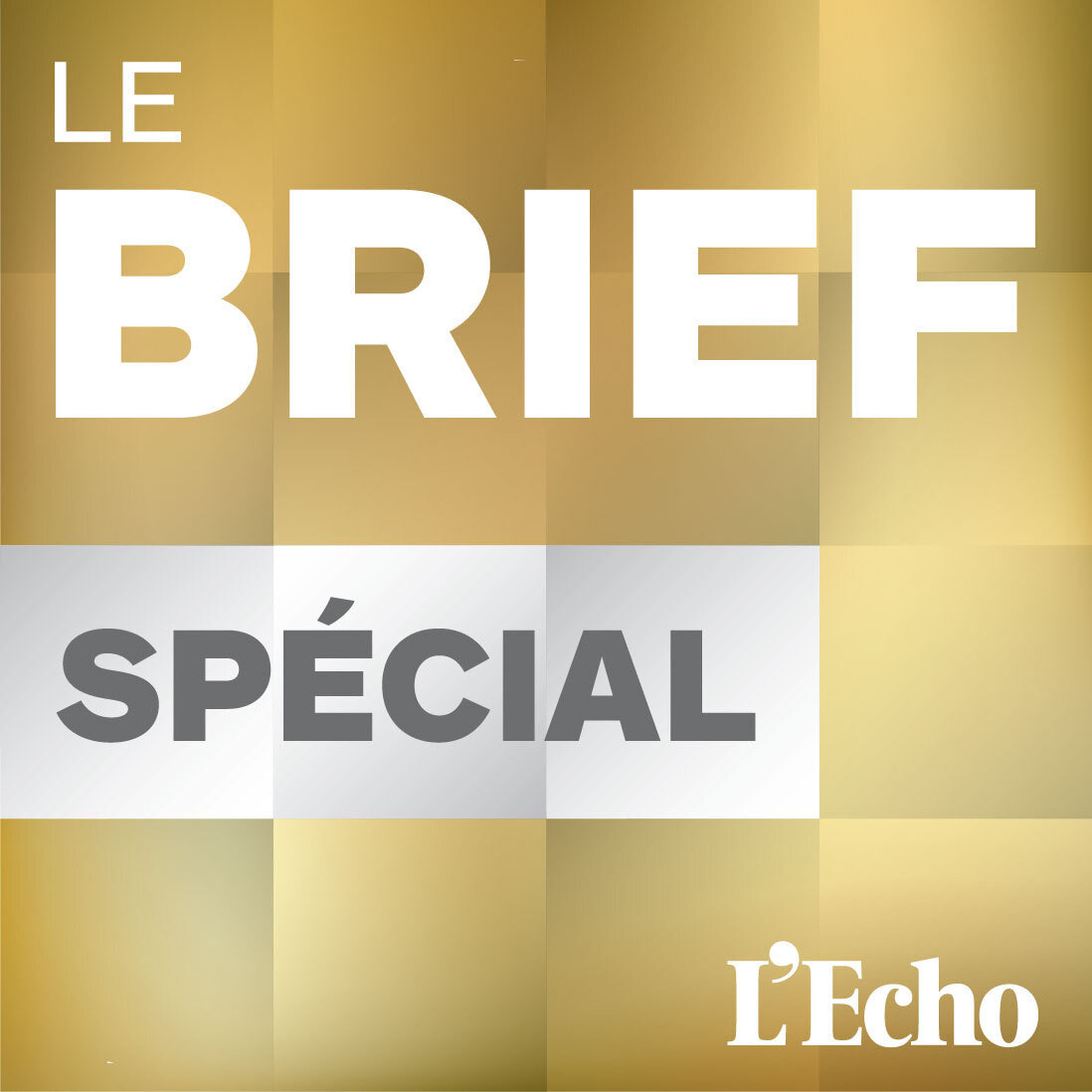 Brief Spécial | La "petite" IPO du géant Shein