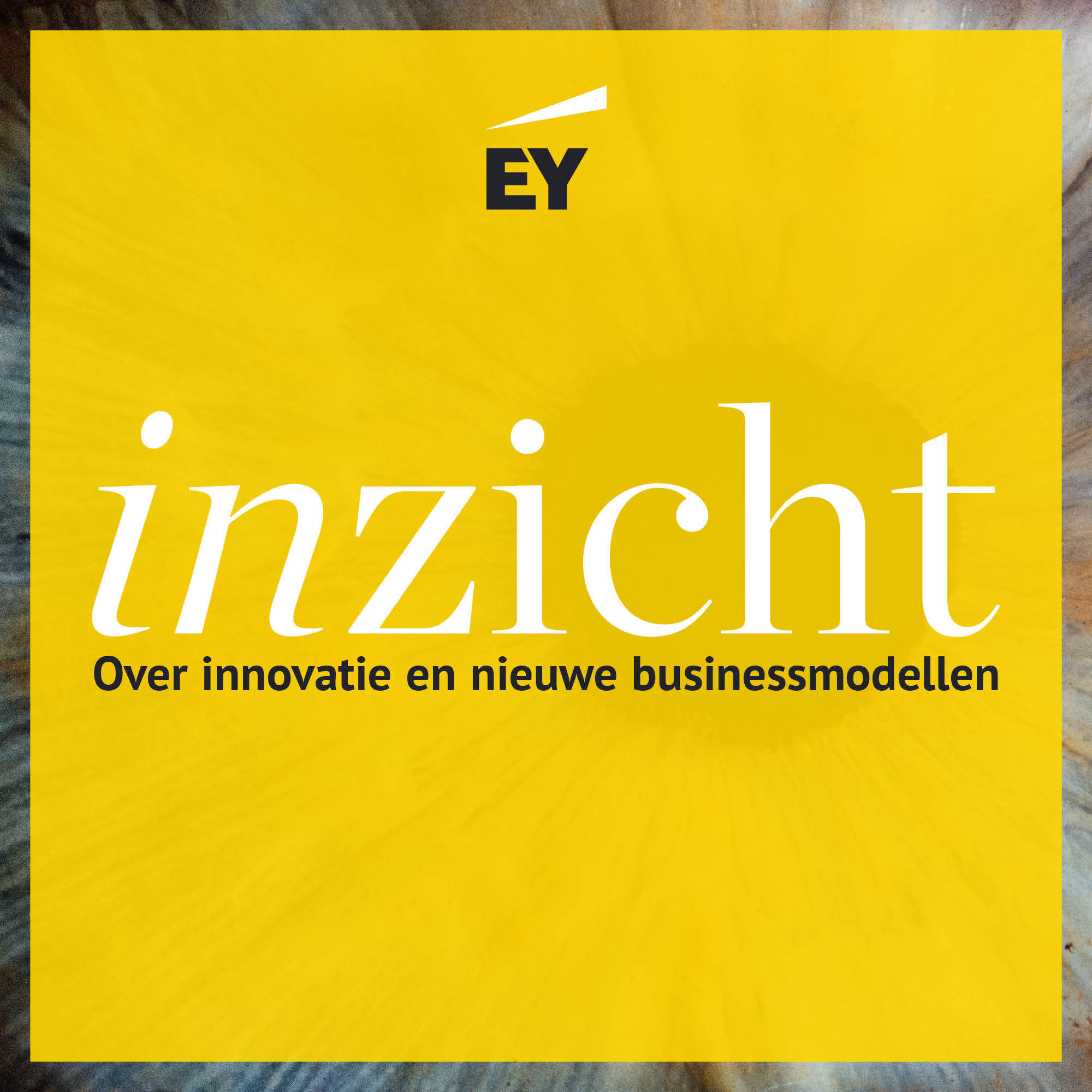 Inzicht: over innovatie en nieuwe businessmodellen