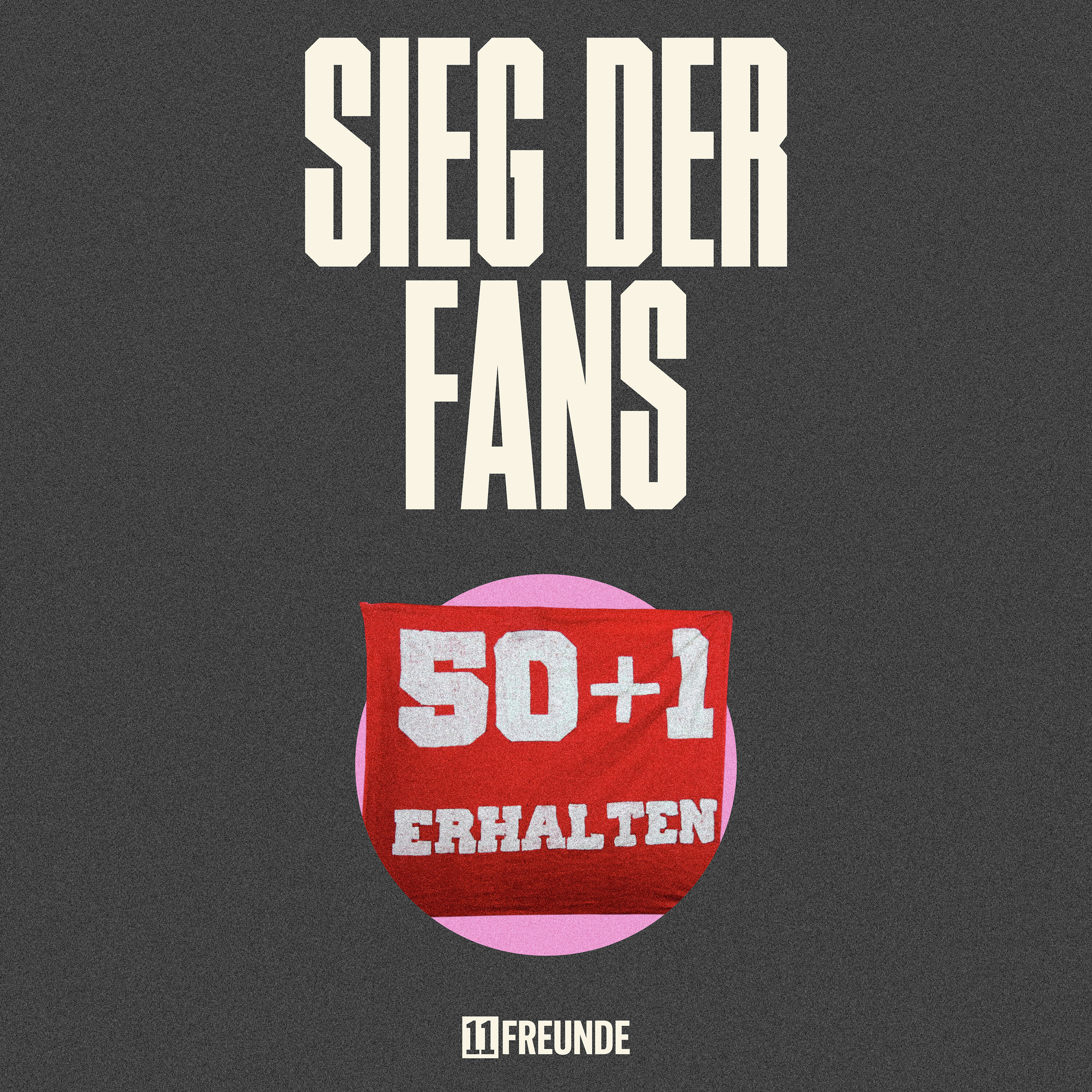 Kartellamt stützt 50+1: Haben die Fans den deutschen Fußball gerettet?
