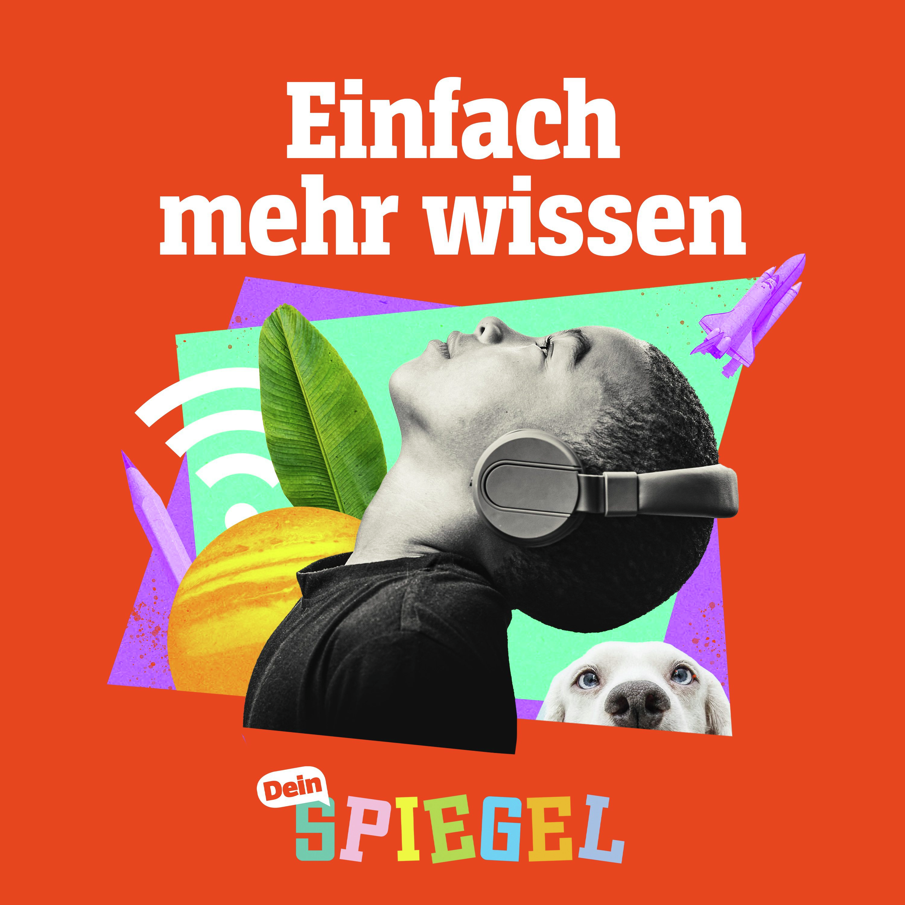 Erwachsenwerden im Tierreich: Wer pubertiert denn hier? episode artwork