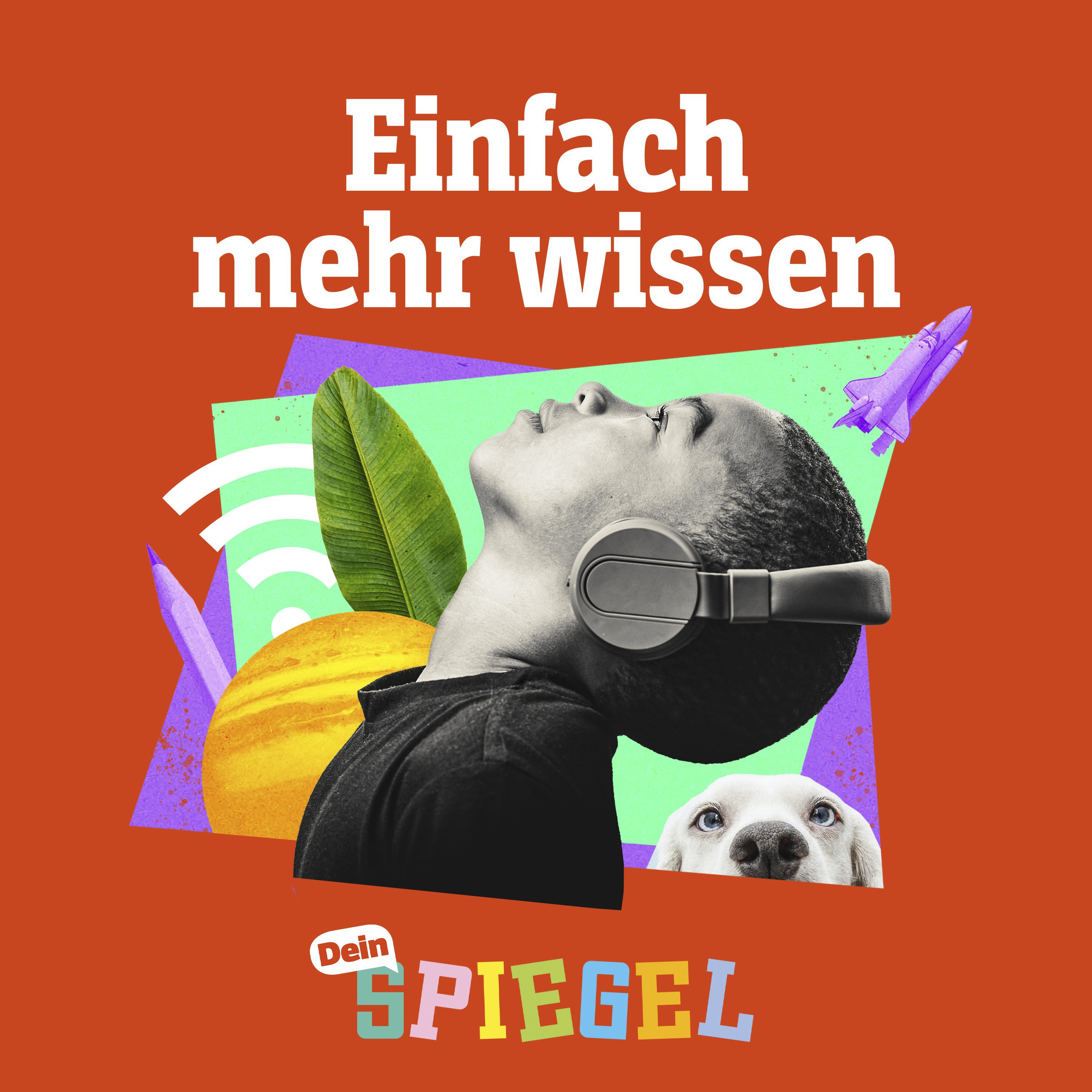 Wer? Wie? BUZZ!