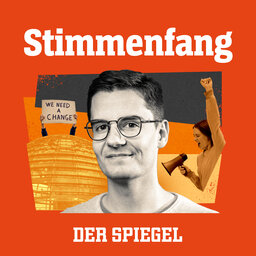 Nebeneinkünfte im Bundestag: Fehler im System?
