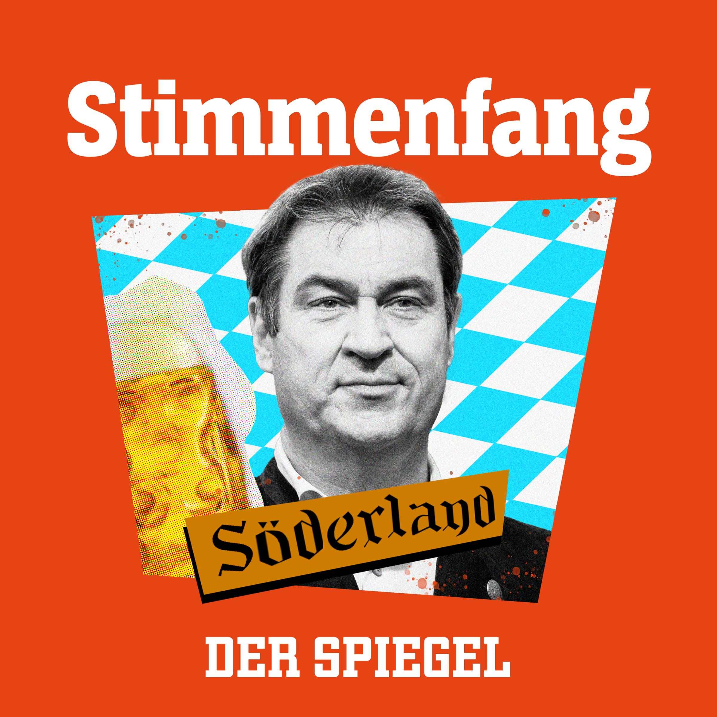 Stimmenfang