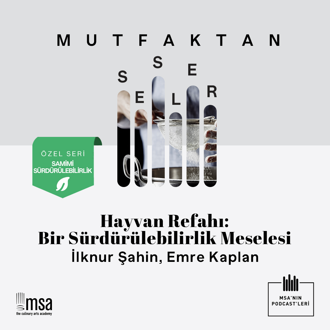 Mutfaktan Sesler - MSA\'nın Podcasti