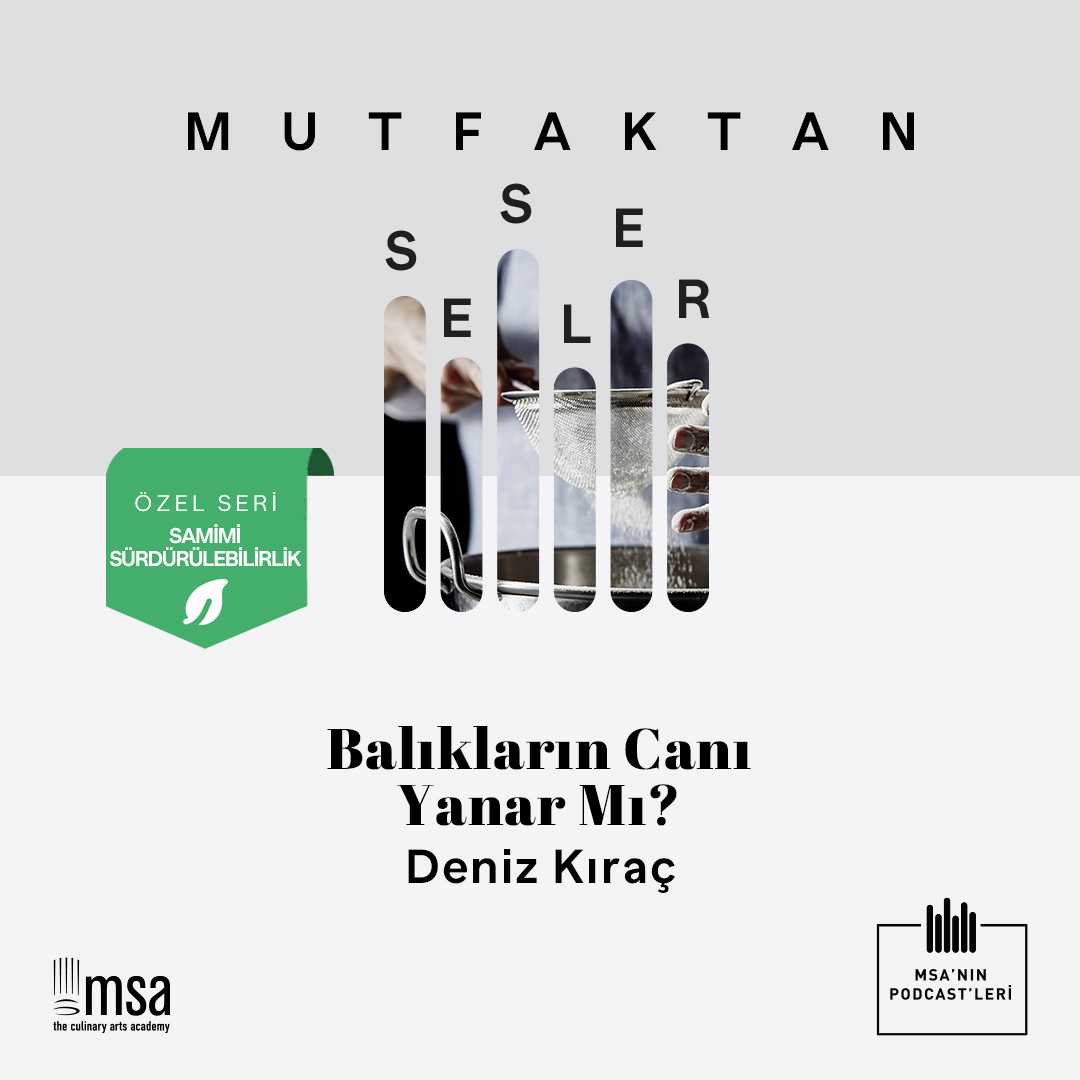Mutfaktan Sesler - Bölüm 81 - Balıkların Canı Yanar Mı? episode artwork